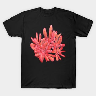 Abstract Coral For Charity T-Shirt